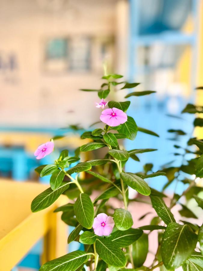 La Casa Homestay - 11B Anh Dao, Bai Chay Ha Long Dış mekan fotoğraf